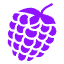 Picoberry item